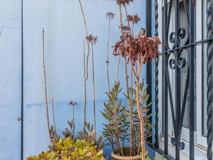 Apartamento Susillo Vacacional Sevilla Extérieur photo